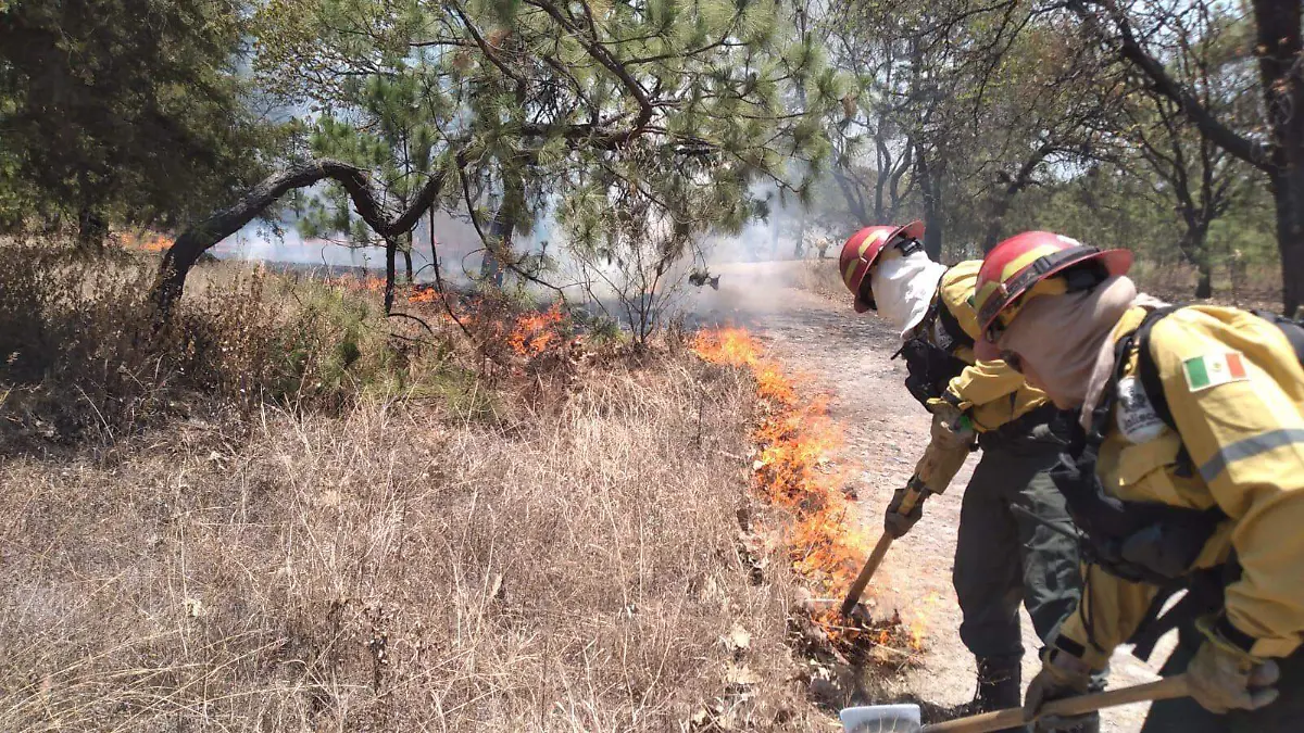 Incendio paraje Las Tinajas